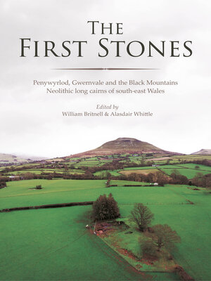 cover image of The First Stones